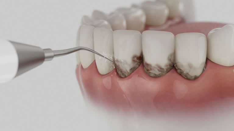 Reliable Dental contractor in Covington city County, VA by Dentist Open Now